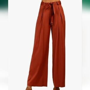 Trina Turk Terracotta/Cinnamon Wide-Leg Pleated Front Satin Pants Plus Sz 14